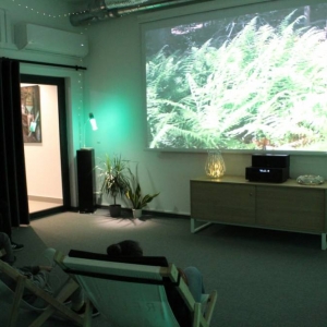 Duży ekran na ścianie, na którym wyświetlane jest zdjęcie zielonej  roślinności. W pomieszczeniu jest zielona poświata z zielonych lampek